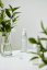 Dear Klairs Fundamental Ampule Mist