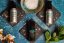 Apothaka lifestyle skin health