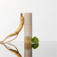 107 double layer milky serum 107 double layer milky serum