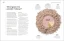 Michelle Wong - The Science of Beauty