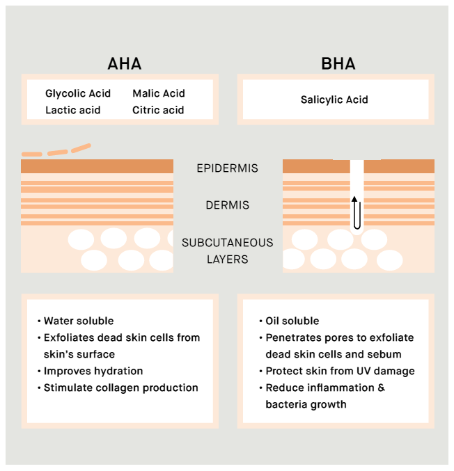 EVY AHA vs BHA